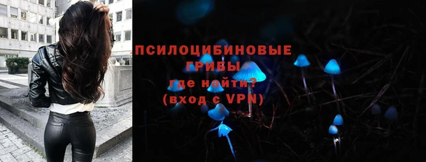 первитин Карпинск