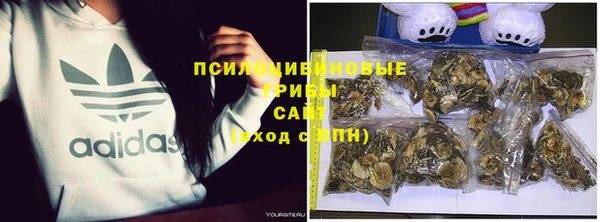 первитин Карпинск