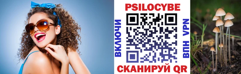 Псилоцибиновые грибы мухоморы  сайты даркнета как зайти  Майкоп  как найти закладки 