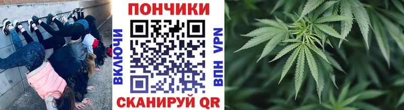 Каннабис SATIVA & INDICA  Майкоп 